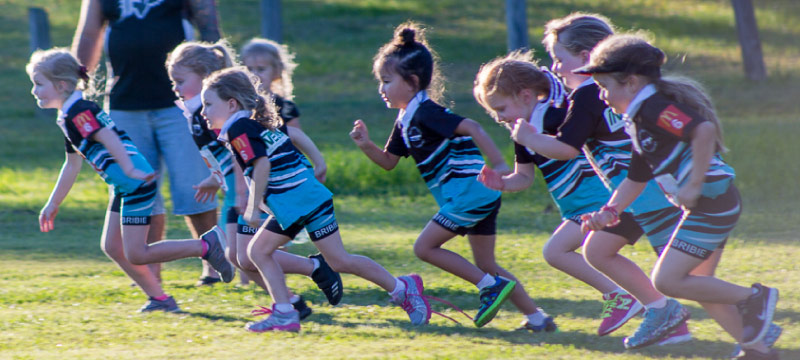 bribie island little athletics